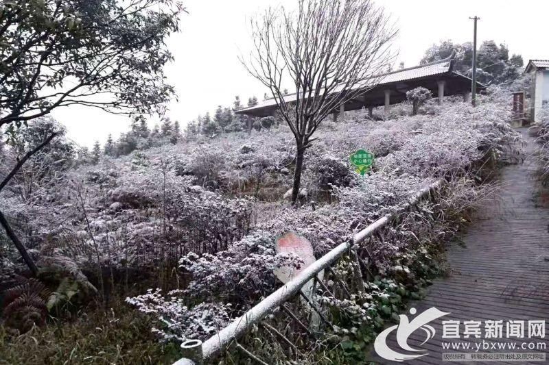 不胜|银装素裹美不胜哉 兴文苗乡迎来今冬首场大雪