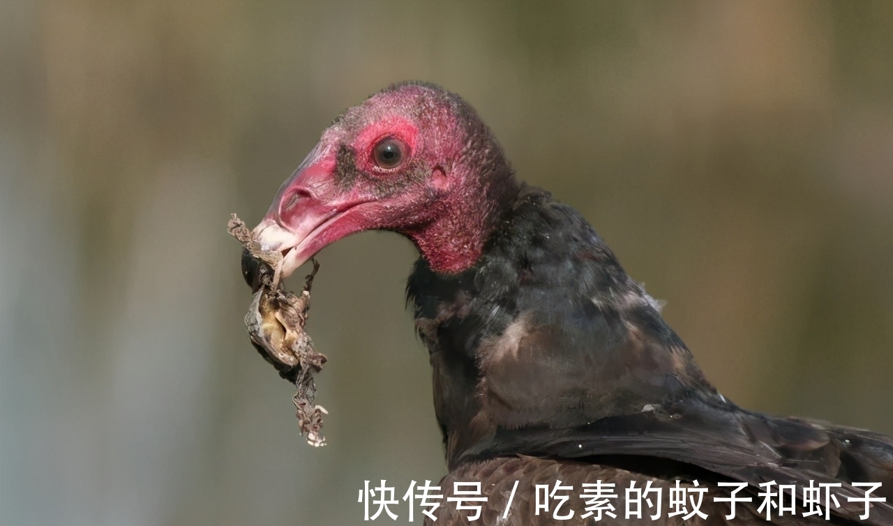 英镑|趣味冷知识分享,快来一起看看吧!