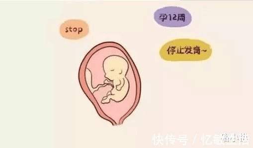 行为|从一开始怀孕到最后生孩子,我们的哪几种行为最容易博得医生的好感呢?