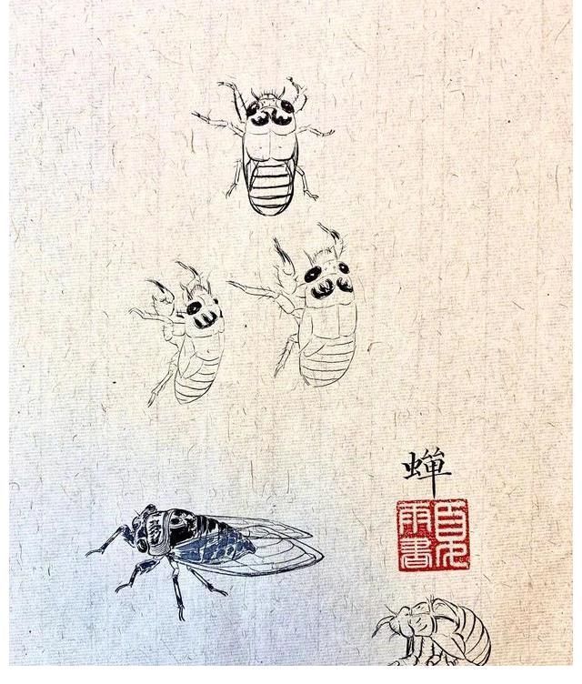 夏雨&他是明星里面画画最好的,谦虚自嘲只是爱好,网友:堪称专业画家