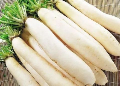 萝卜子|冬吃萝卜最适宜，但不能跟此物一起吃