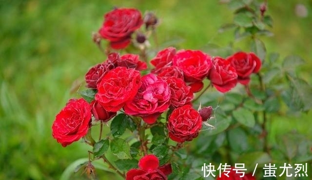 天蝎男|2月底爱神牵线,真爱喜从天降,谱写美满姻缘的四大星座!