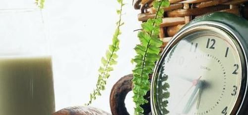 自制日式红豆包,香甜绵软,甜而不腻,越嚼越香,太好吃了