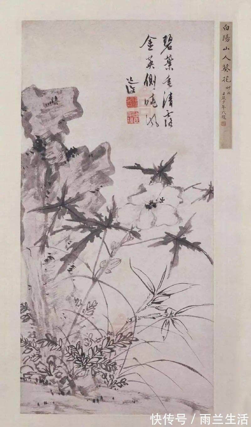 陈淳@与徐渭齐名,这个富二代的一花一世界!