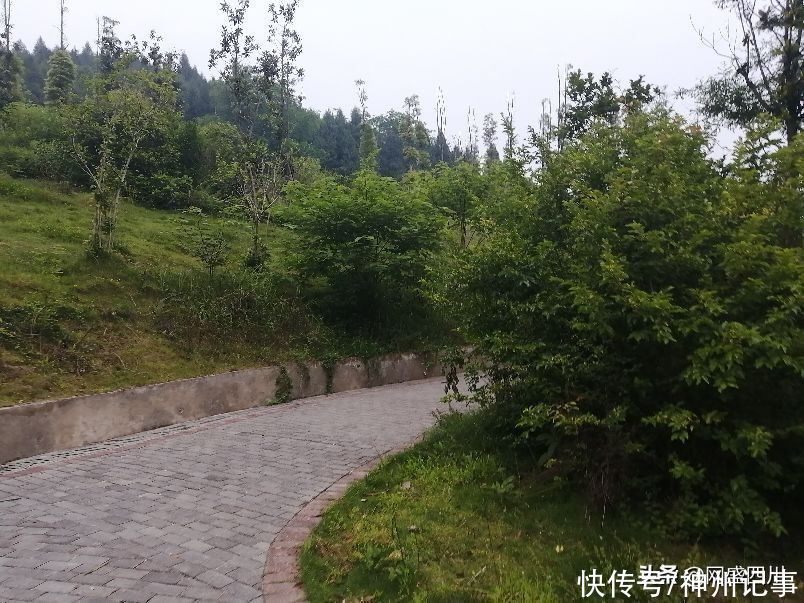 蓬安|逛游百牛赞歌广场，这里风景独好