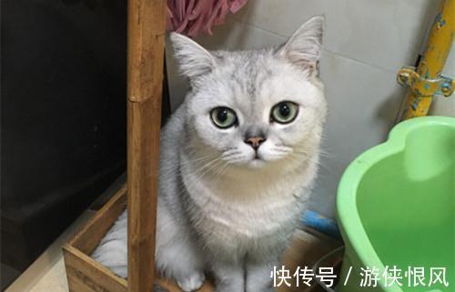 |幽默笑话:我姐的生日是中秋节,日子比较特殊,所以我总是会记得