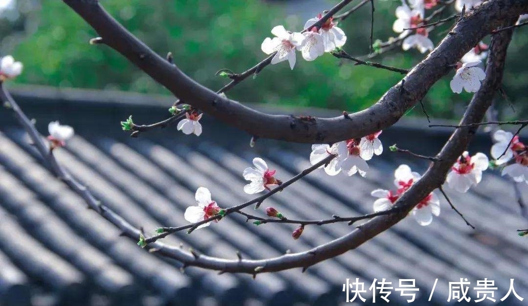 韦应物$哲理诗三首,世事荏苒几盈虚,茫茫难自料,心态最重要