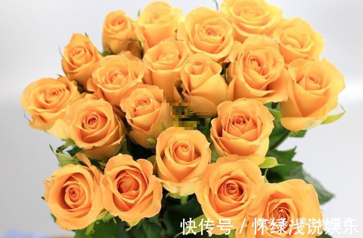 喜欢玫瑰，就养盆“高档玫瑰”假日公主，花开金光四射，高雅纯洁