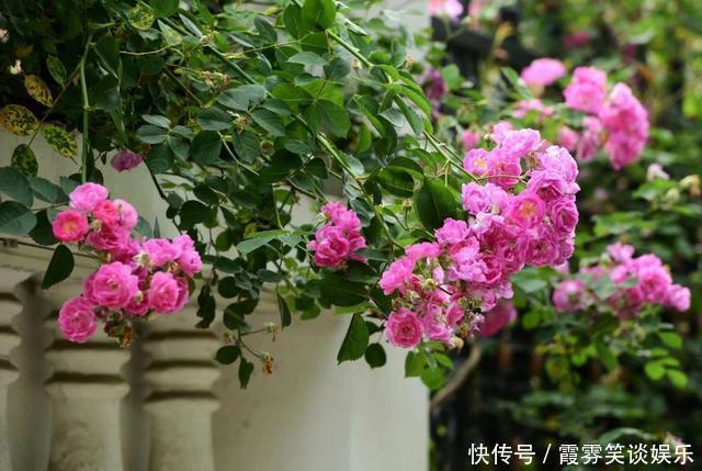 云南发现一户人家,犹如仙境一般,进去就不想走了,世外桃源