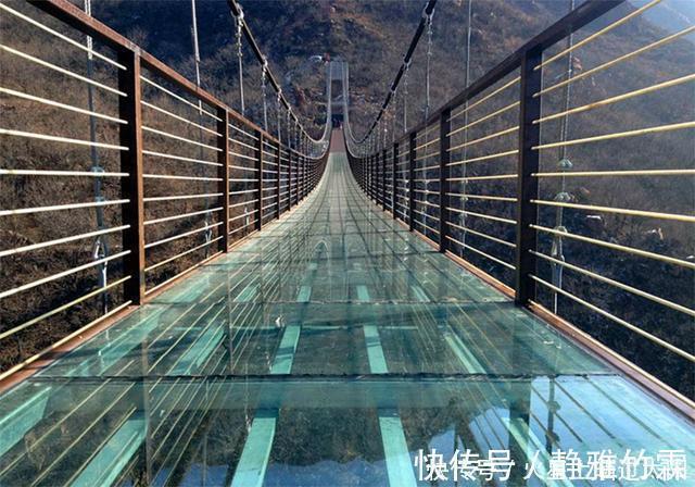 |野猪误入玻璃桥,从没见过这么搞笑的猪,网友:魔鬼的步伐