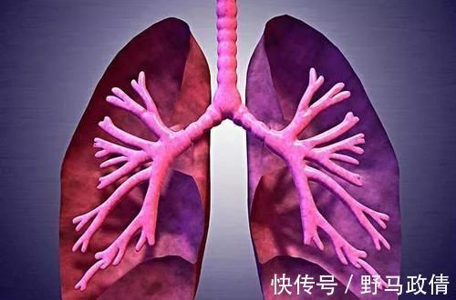 按摩|5大穴位扶阳正气,再顽固的鼻炎,这样简单调理也很快痊愈了!