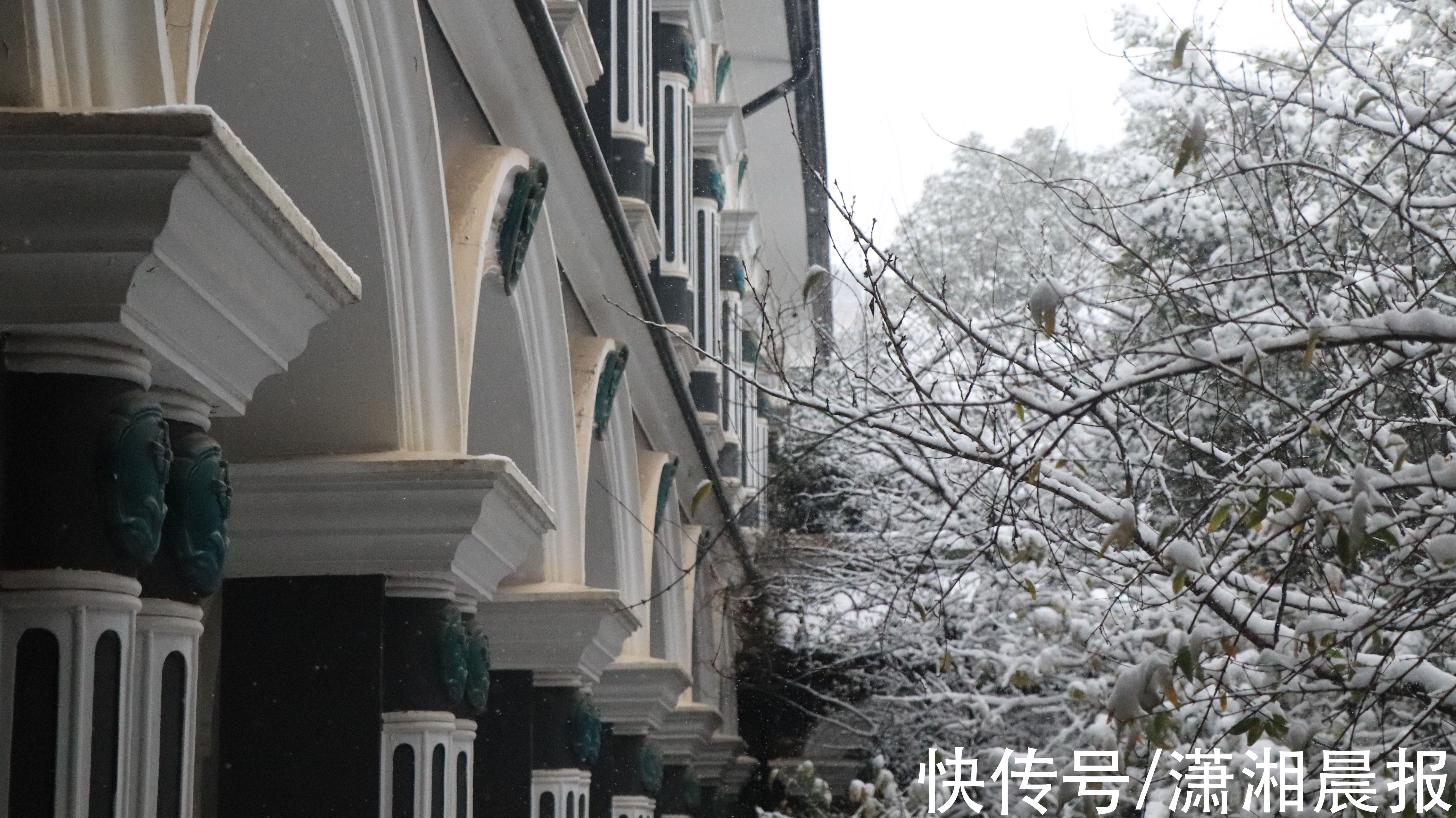 长沙|长沙初雪自带美颜滤镜，校园里“千树万树梨花开”