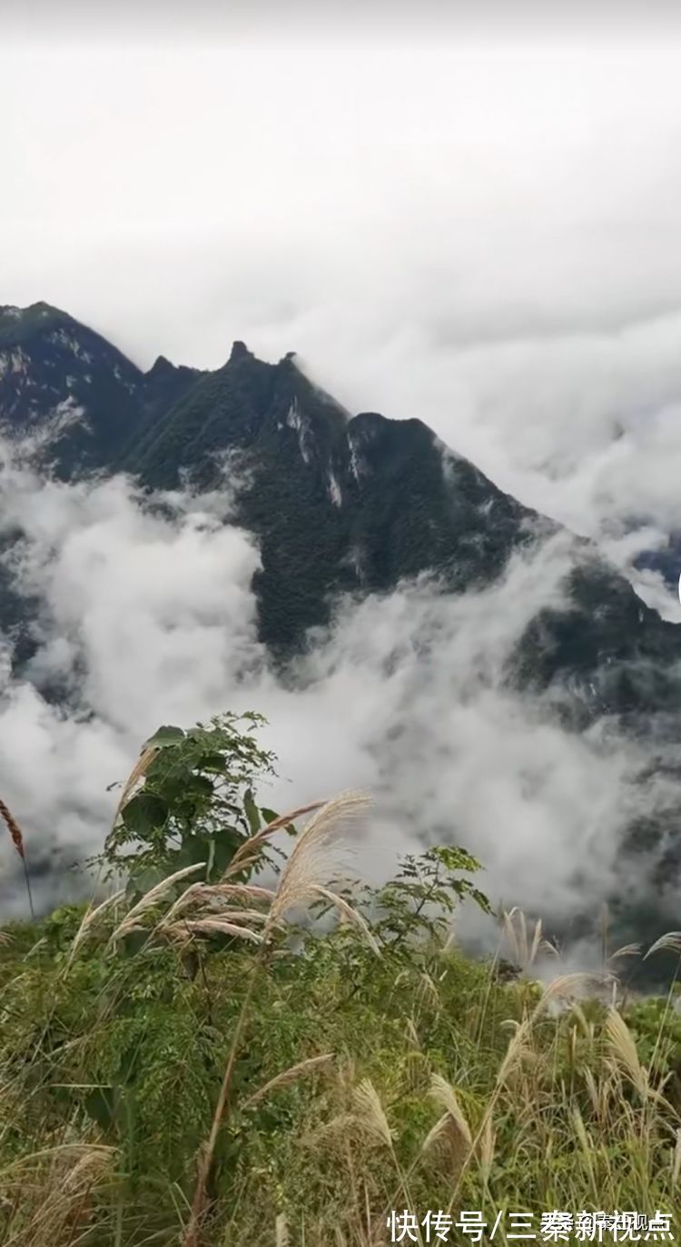 陕西#大美山河在巫溪——陕西当代国画艺术研究院赴重庆巫溪写生