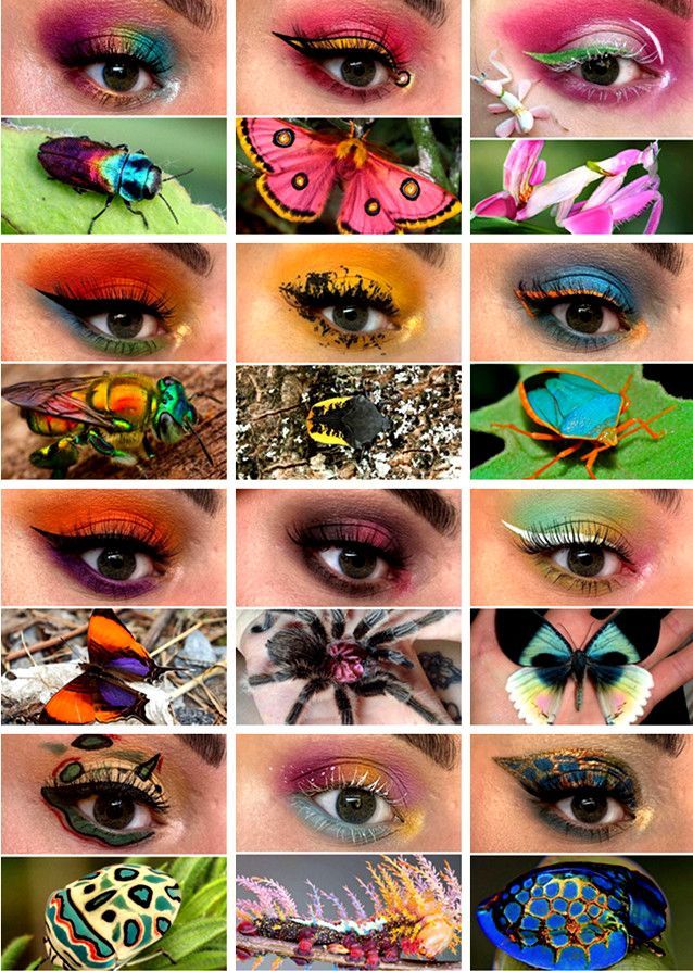 bored|女子“昆虫”眼妆吸睛 展示昆虫之美