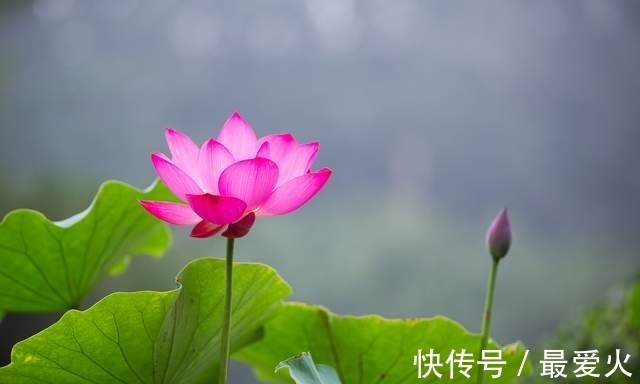 人心#人心平时,好事自然会发生