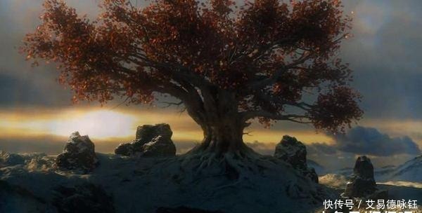 山海经|山海经中记载的上古十大神树你知道几种?西王母掌握的不死树上榜