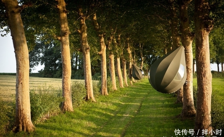 这些泪滴形帐篷可以将您挂在树上露营!