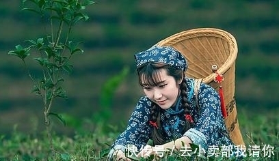 新晴#清代才子的一首七律,美如画卷,却丹青难描,颔联是传世名句