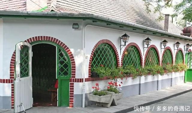 诱惑|舌尖上的诱惑,在匈牙利吃什么