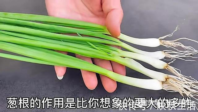 挥发油|扔葱根等于扔钱，葱根原来是个宝，作用这么厉害，太实用了