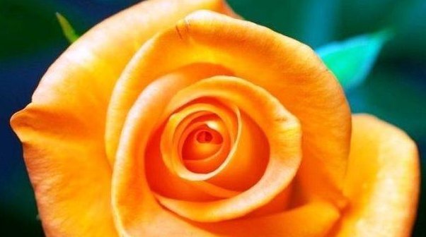 智慧|有一种修养,叫“少管闲事”,这是一种人生大智慧