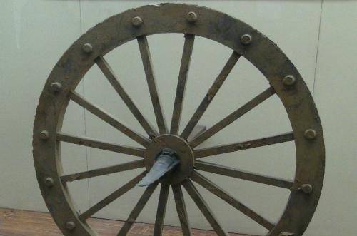 葱头|宠辱之间——争与不争