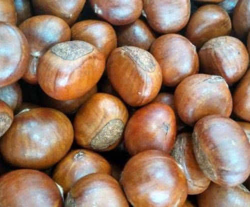 糖尿病|一旦查出糖尿病，敞开肚子吃4物，血糖或会“悄悄降”