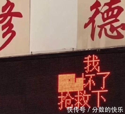 |搞笑GIF：这只蚌成精了