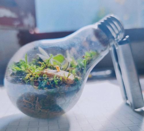 为什么水在地球上几十亿年都没有过期，装在瓶子后很快就会过期？