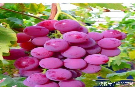 女性不想子宫“脏脏的”,多食3种食物,排出毒