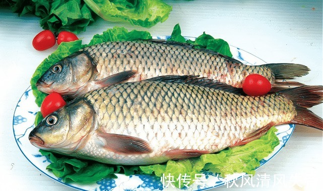 果实|海贼王早在两年前贴吧老哥就预测凯多是鱼鱼果实,反被辱骂