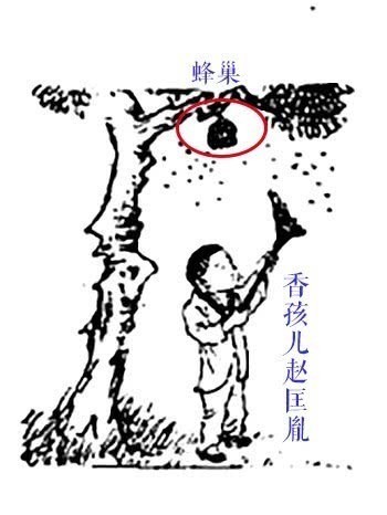 赵匡胤|推背图预言第15象，大宋第一位皇帝！一代英豪赵匡胤！