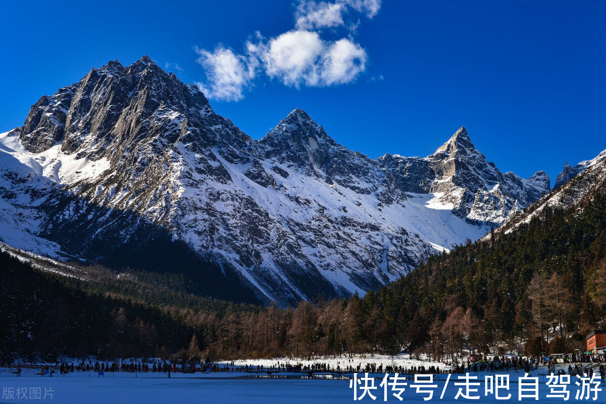 蜀山皇后|被低估的阿坝，人人都听过却极少人去过，春夏花开遍野，艳惊四座