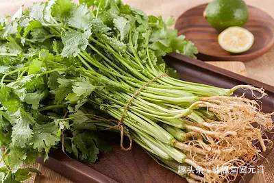 预防感冒|天然的“排毒菜”找到了,坚持煮水喝,排出体内毒素,预防感冒