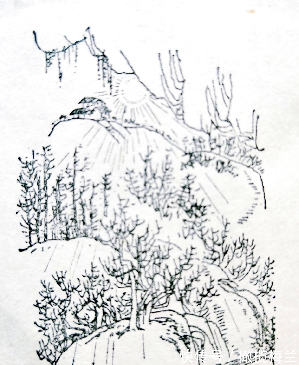 诗人|王维:诗中有画,画中有诗|唐宋绝句欣赏⑤