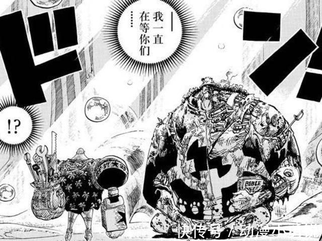 暴君熊|《海贼王》暴君熊守护阳光号两年,他为何会伤痕累累?