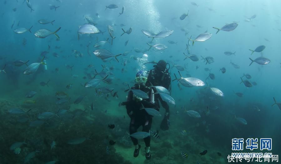 海南三亚：潜水享假期
