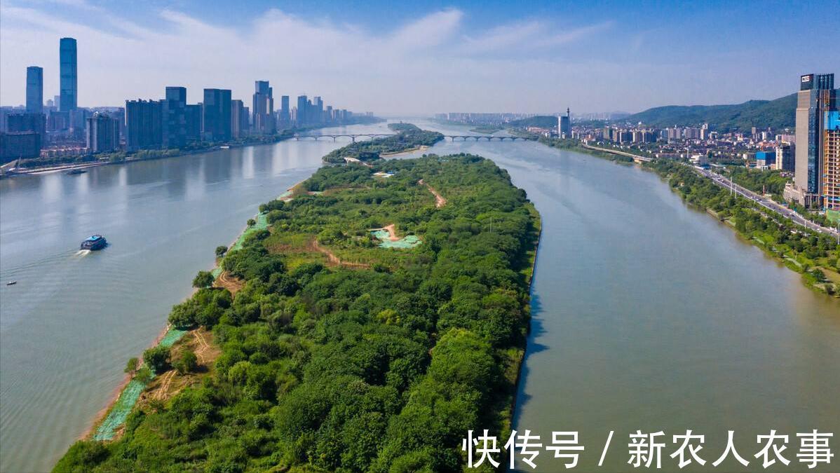 湖南一男子在湘江里野钓，意外收获58斤的大鱼，直接在地上拖着走