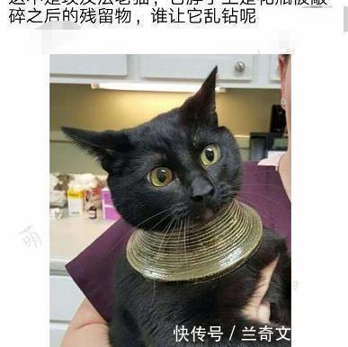 结尾&“你认为哪部小说的结尾堪称神来之笔”哈哈哈哈,评论区个个都是狠人