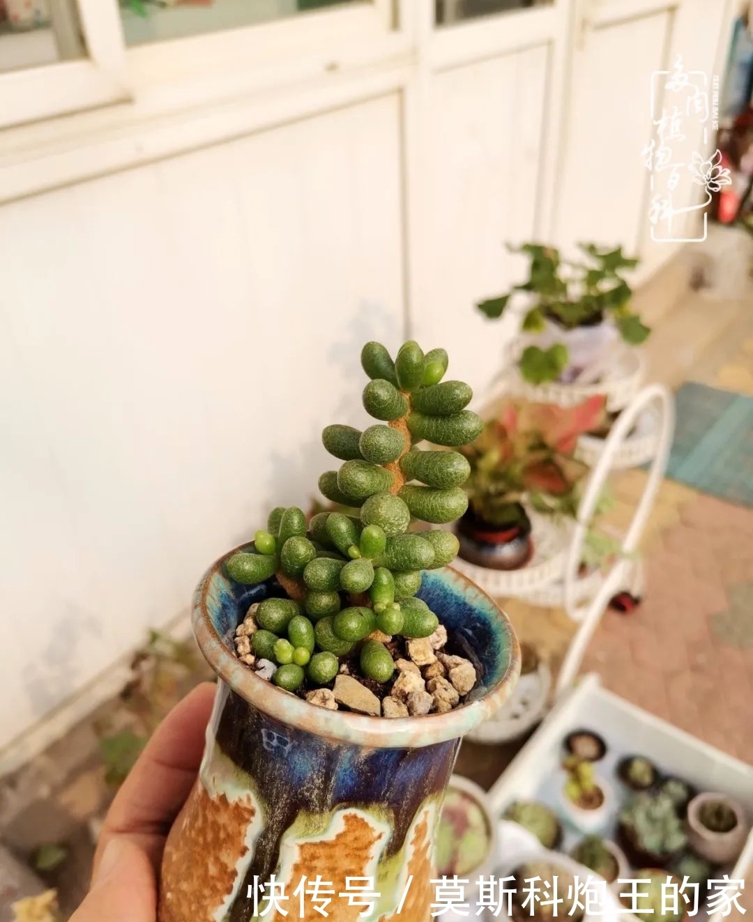 回顾令人难忘的2020年!2021,我定不负美肉不负众望!