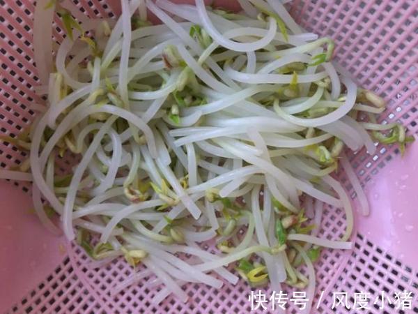 小果儿|菜市场里最便宜的菜，2块钱一大把，但营养价值堪比“人参”