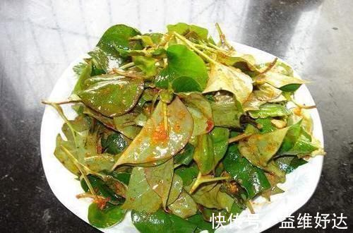 茴香|鸡蛋和此物一起炒,女性每天吃一些,子宫越来越干净,脸蛋更红润