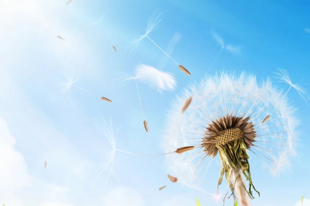 中医|荨麻疹（风疹）反反复复，中医这样防治