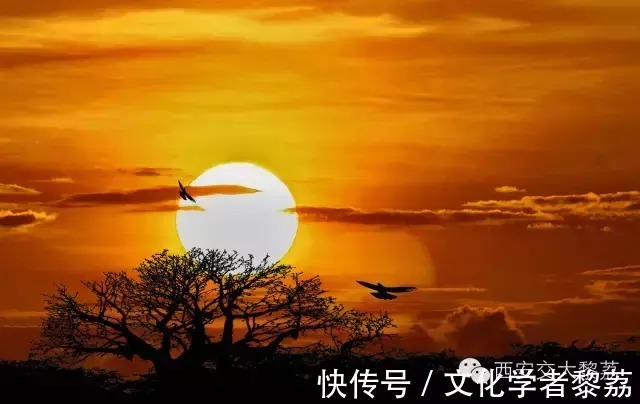 自觉!觉解与意义:人生四境界