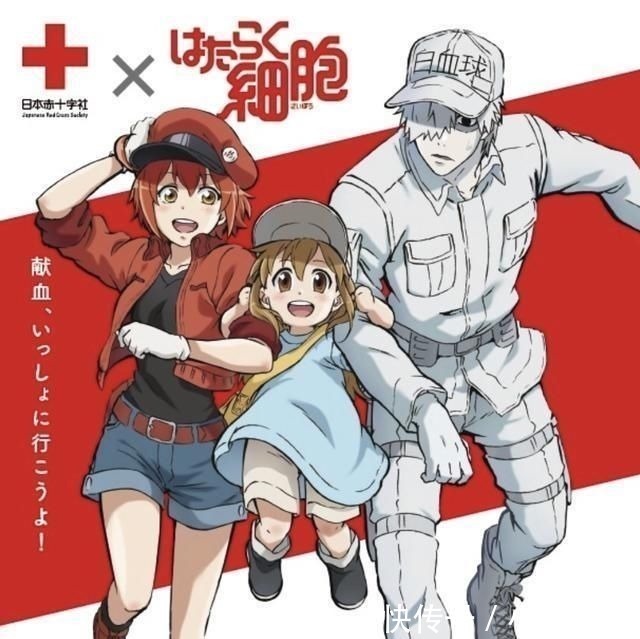 宅男|蜘蛛子苏菲亚护士装扮,骗宅男献血,漫迷:变成吸血鬼我也愿意