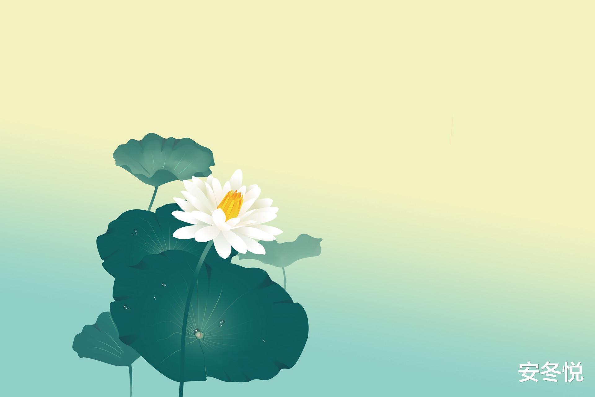 诋毁!真正通透的人,早已看淡这“三样”