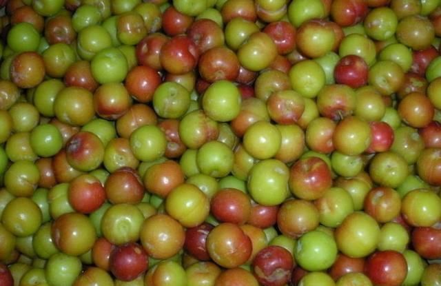 李子|女性常吃此物,再贵也别省,防妇科病,皮肤红润细腻,排子宫肌瘤