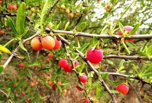 人到中年|人到中年，推荐多吃3种食物，补充营养，增强体质，好处多多