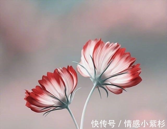 好的孤独!看到内心都发颤的话,句句精品,道尽人生百态!