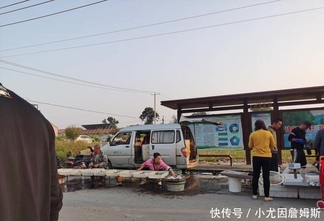 生活|这个胶东沿海小渔村，最适合美食家生活，想吃啥海鲜都有